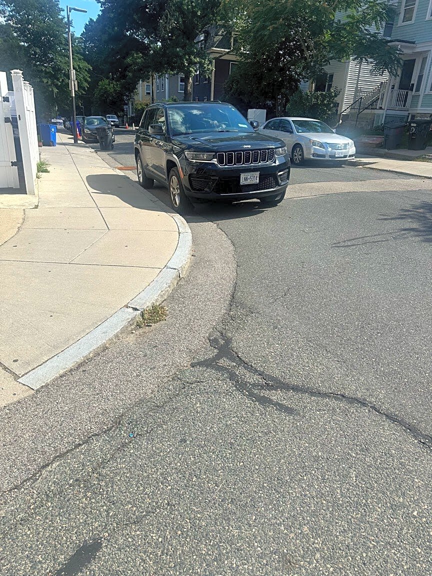 Image submitted with report