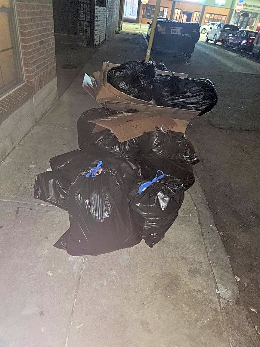 Image submitted with report
