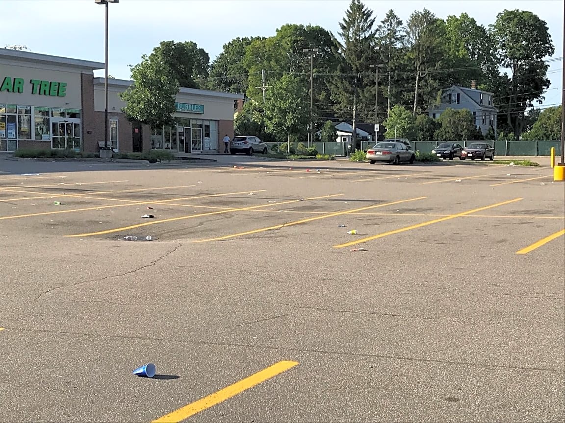 Image submitted with report
