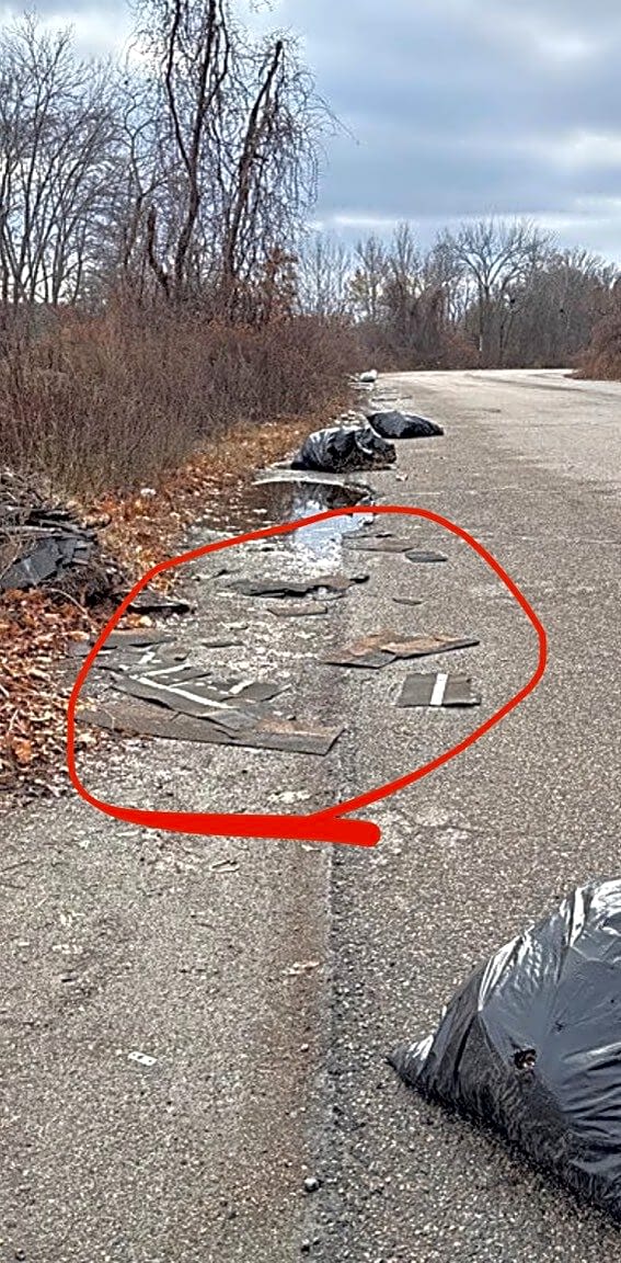 Image submitted with report