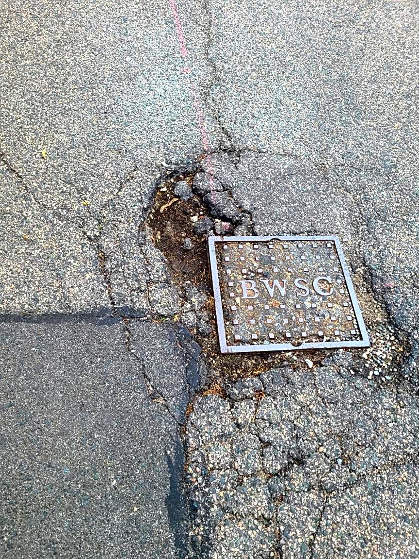 Image submitted with report