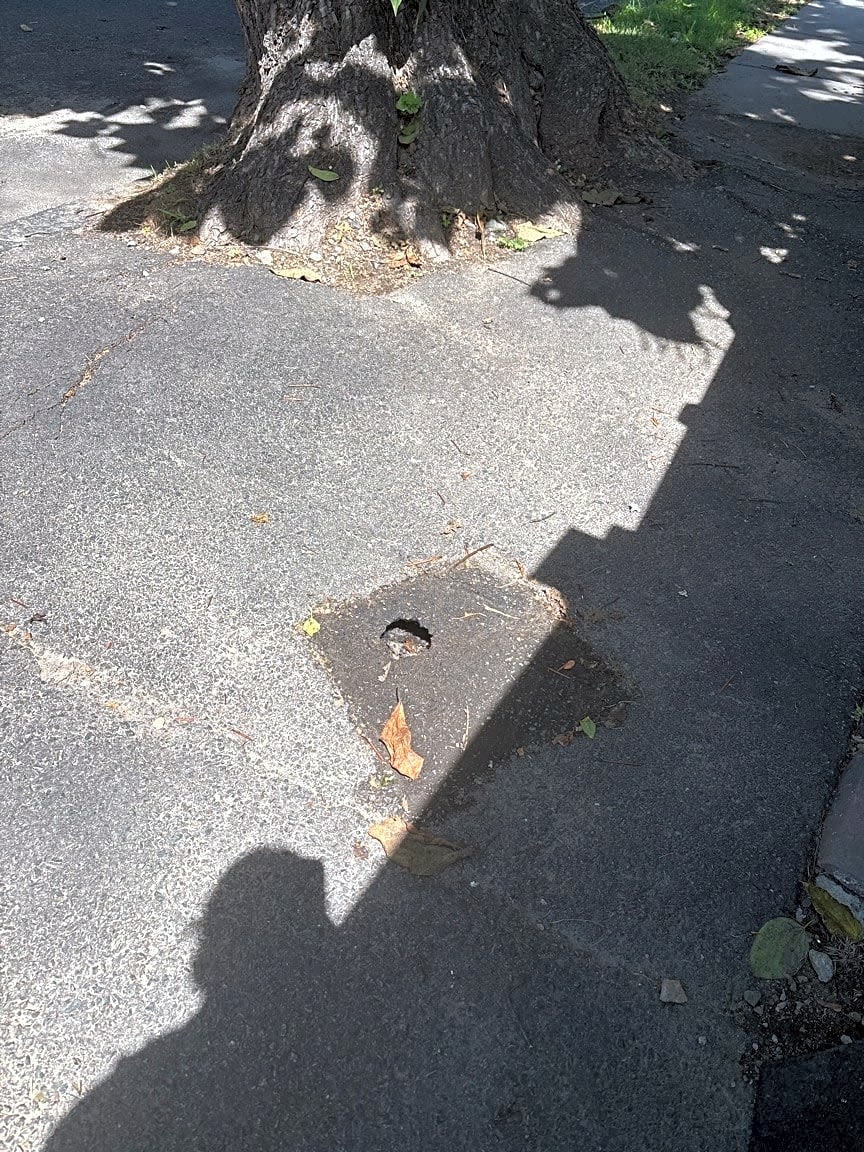 Image submitted with report