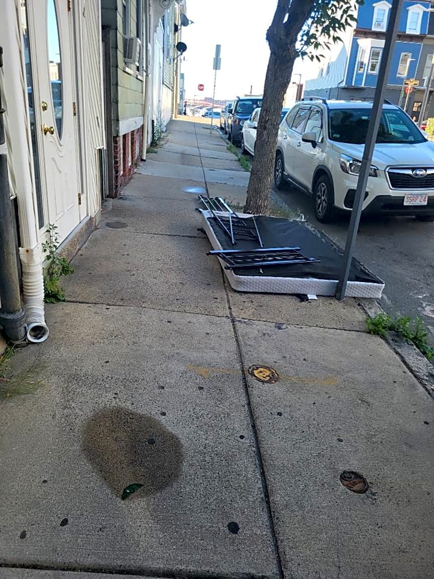 Image submitted with report