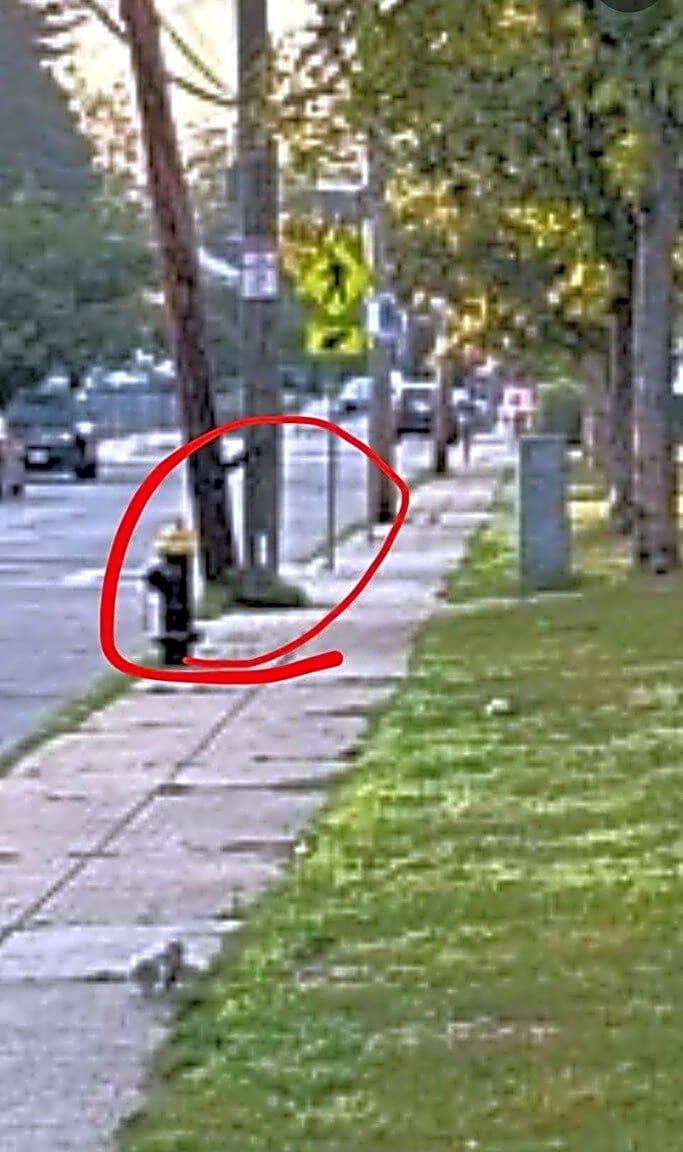 Image submitted with report