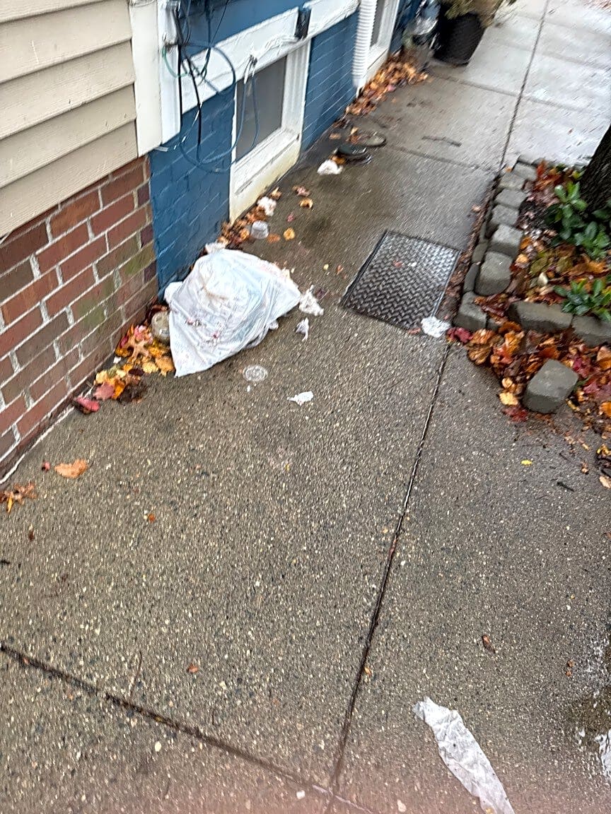 Image submitted with report