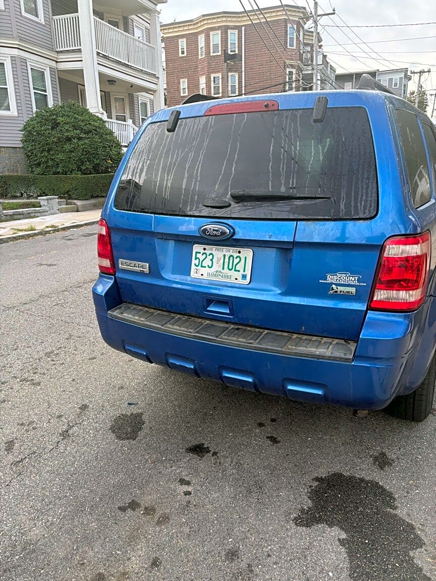 Image submitted with report