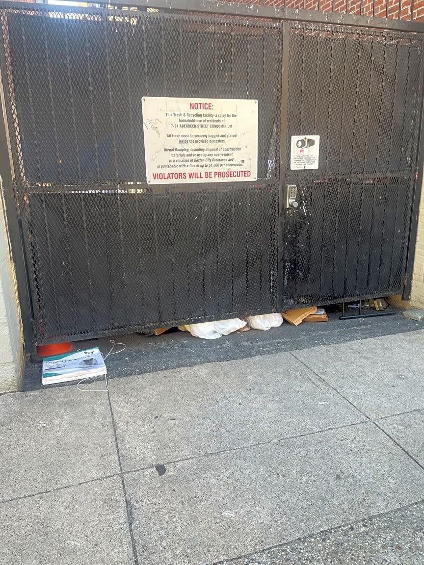 Image submitted with report