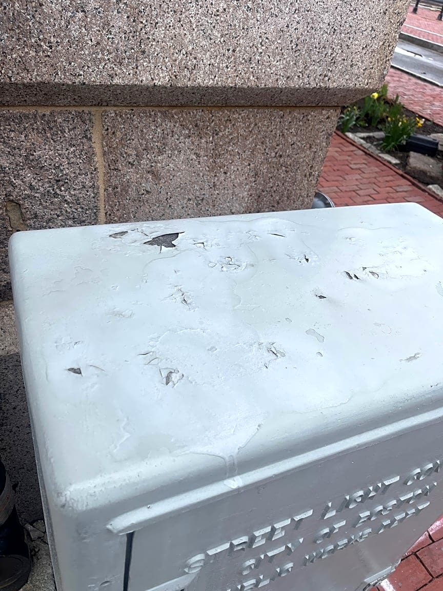 Image submitted with report