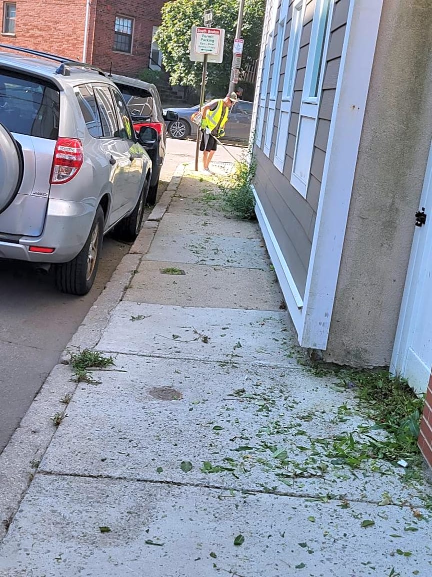 Image submitted with report