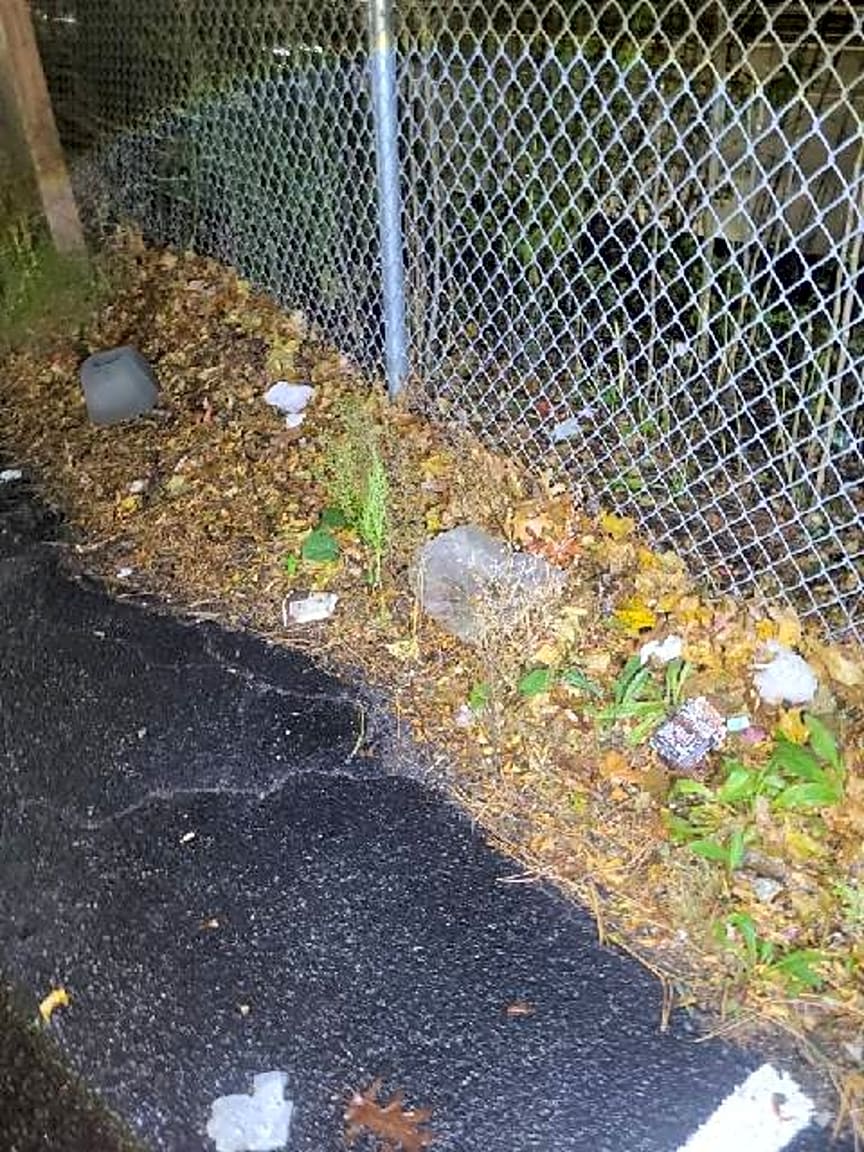 Image submitted with report