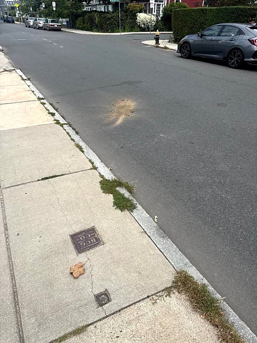 Image submitted with report