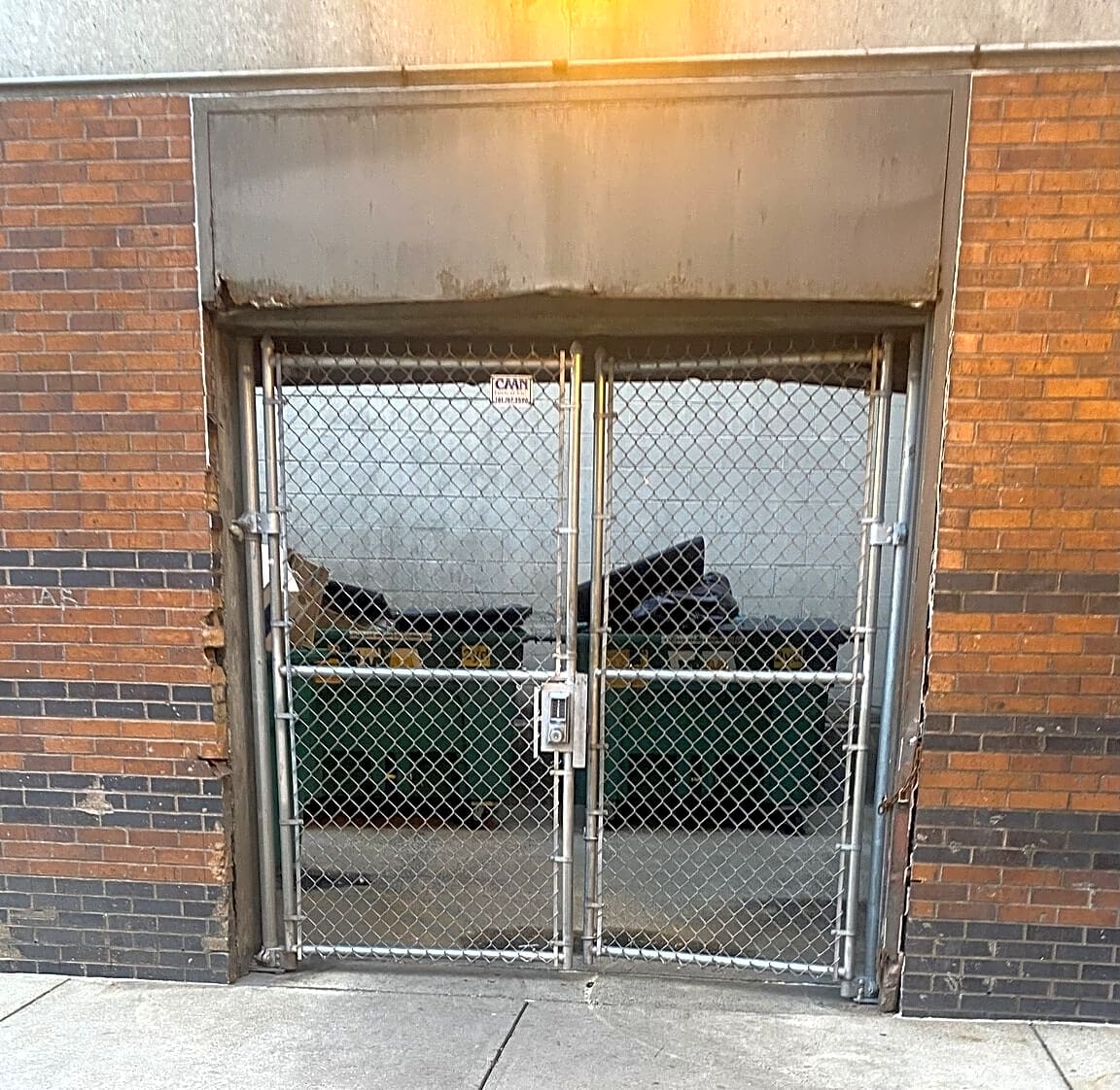 Image submitted with report