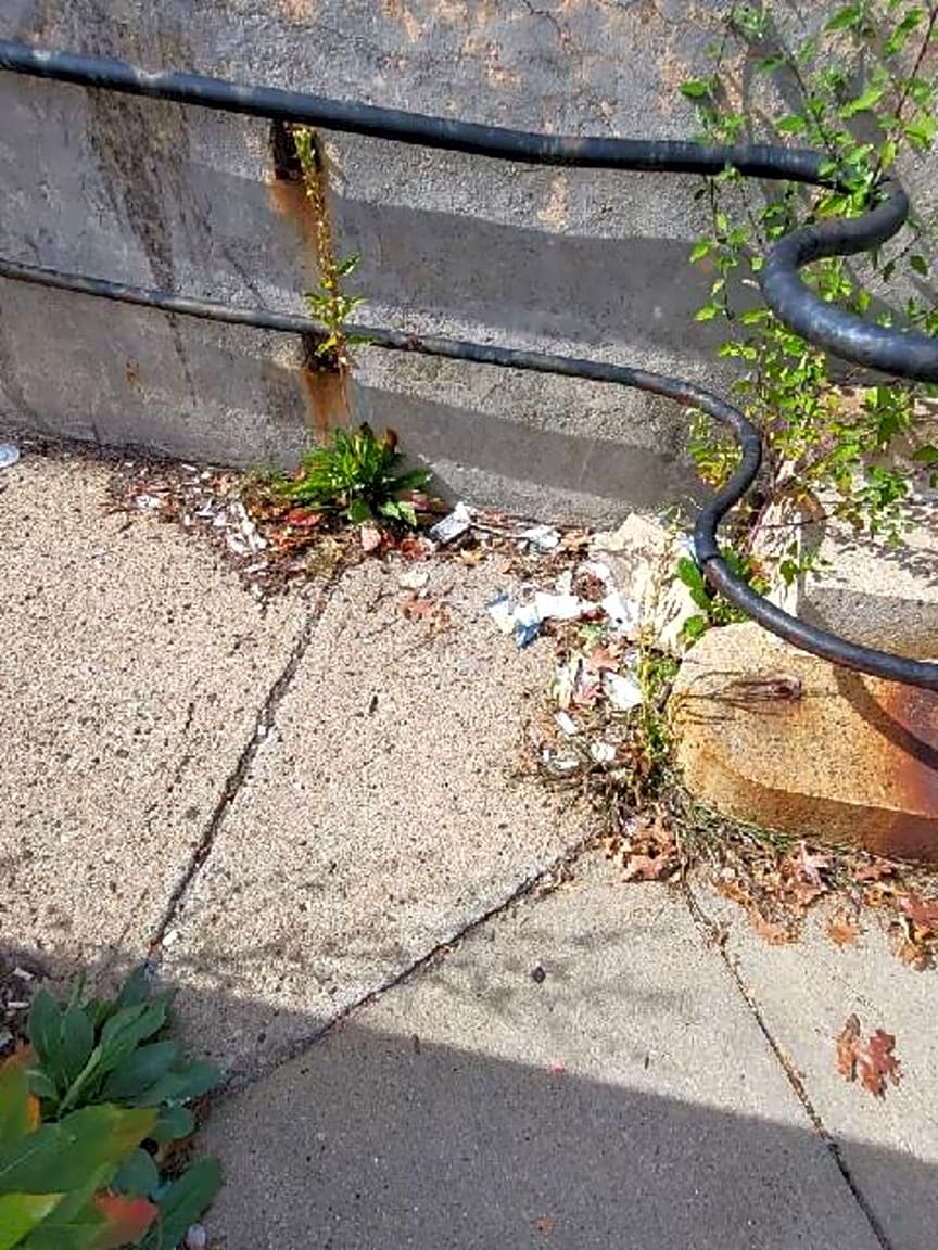 Image submitted with report