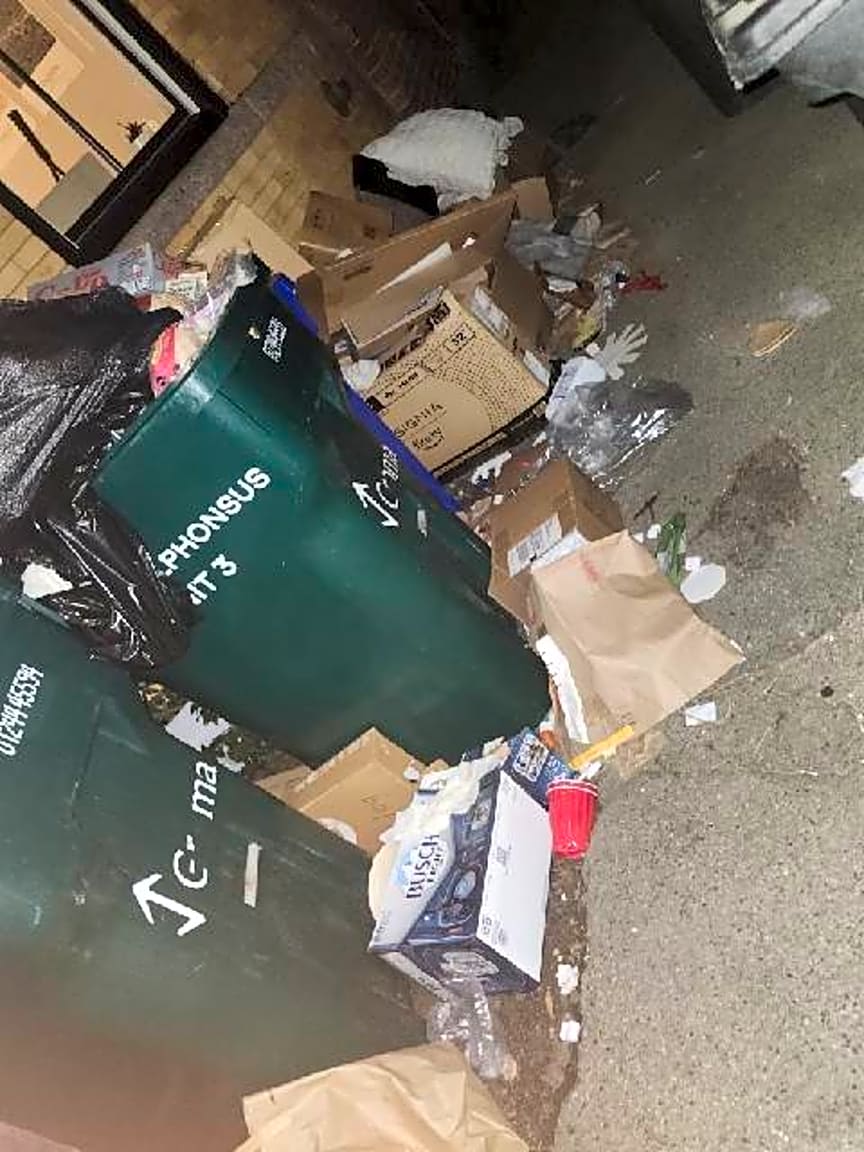 Image submitted with report