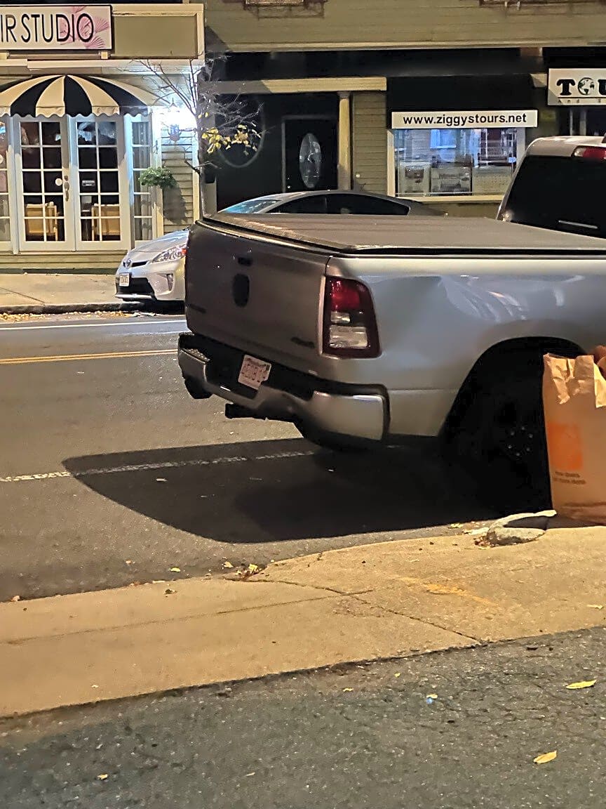 Image submitted with report