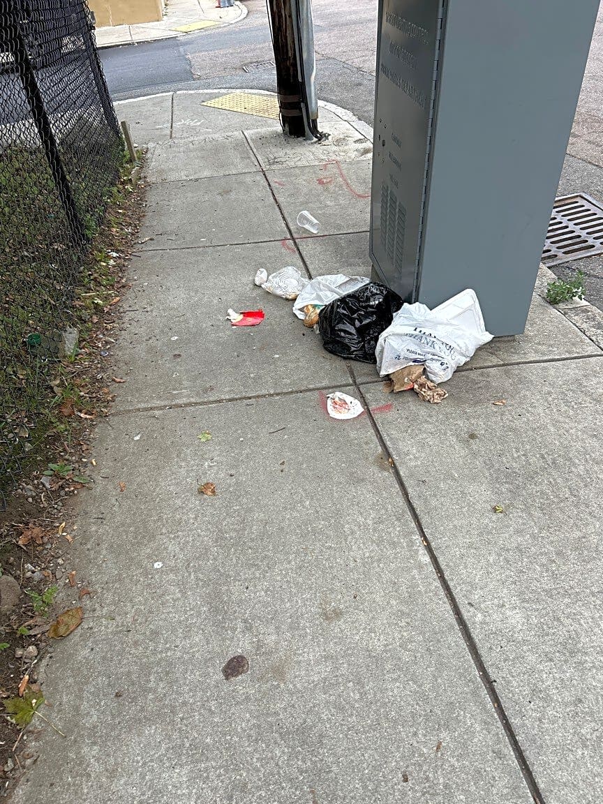 Image submitted with report