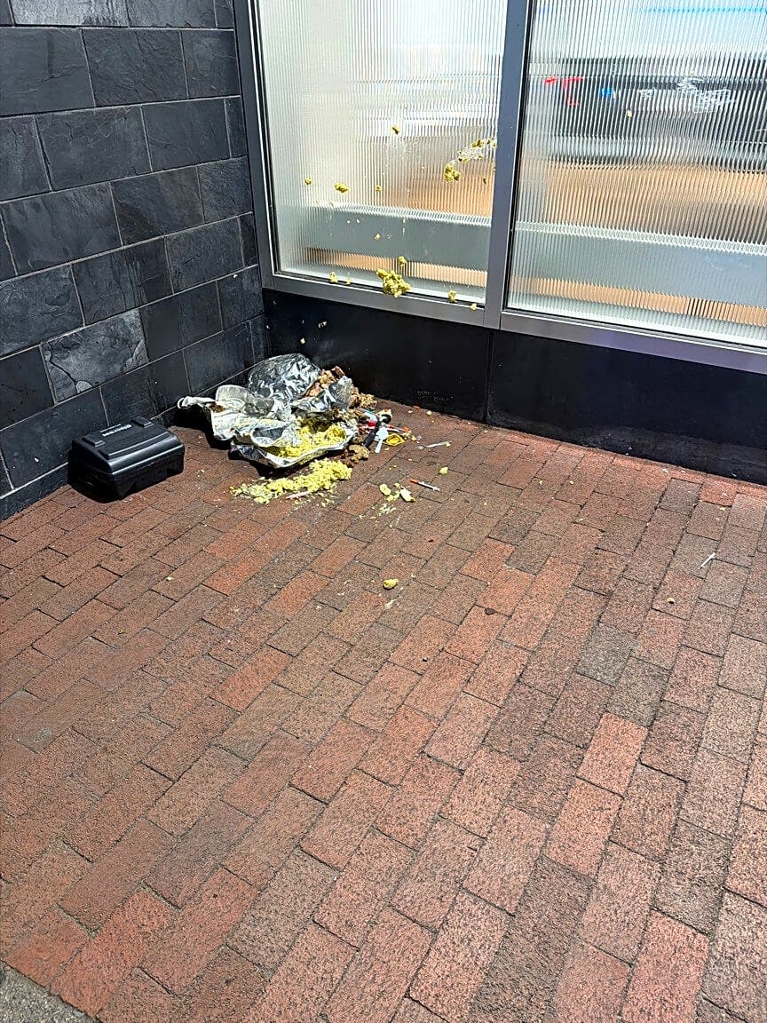 Image submitted with report