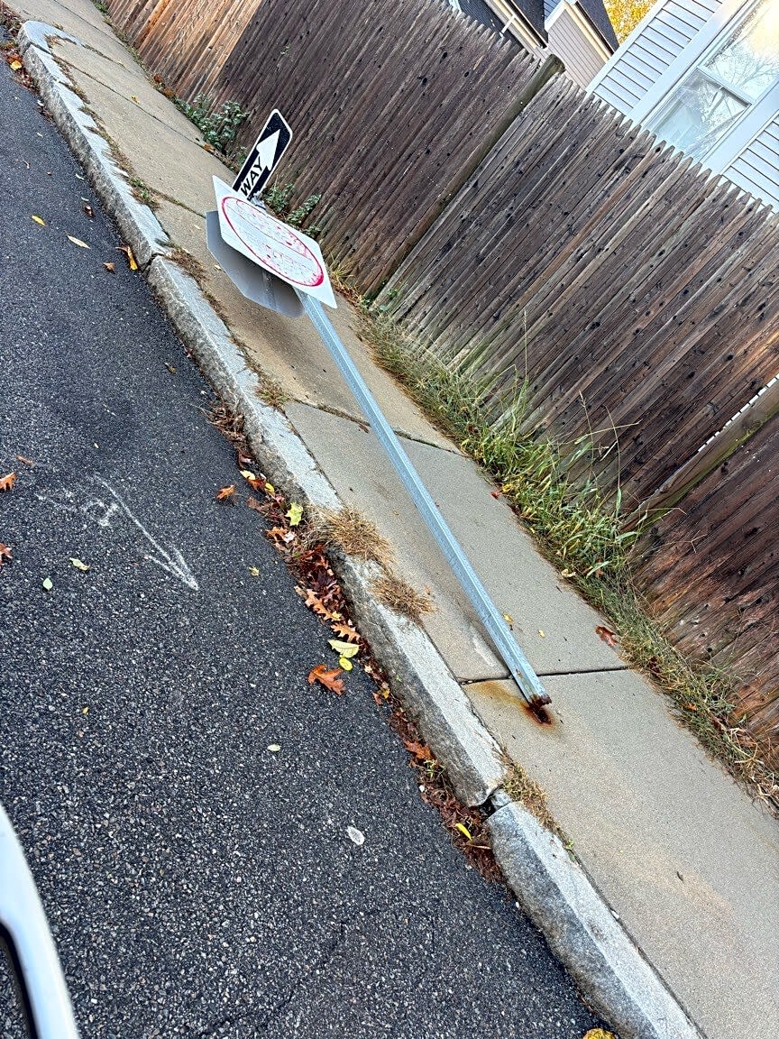 Image submitted with report