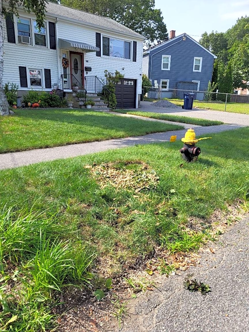 Image submitted with report