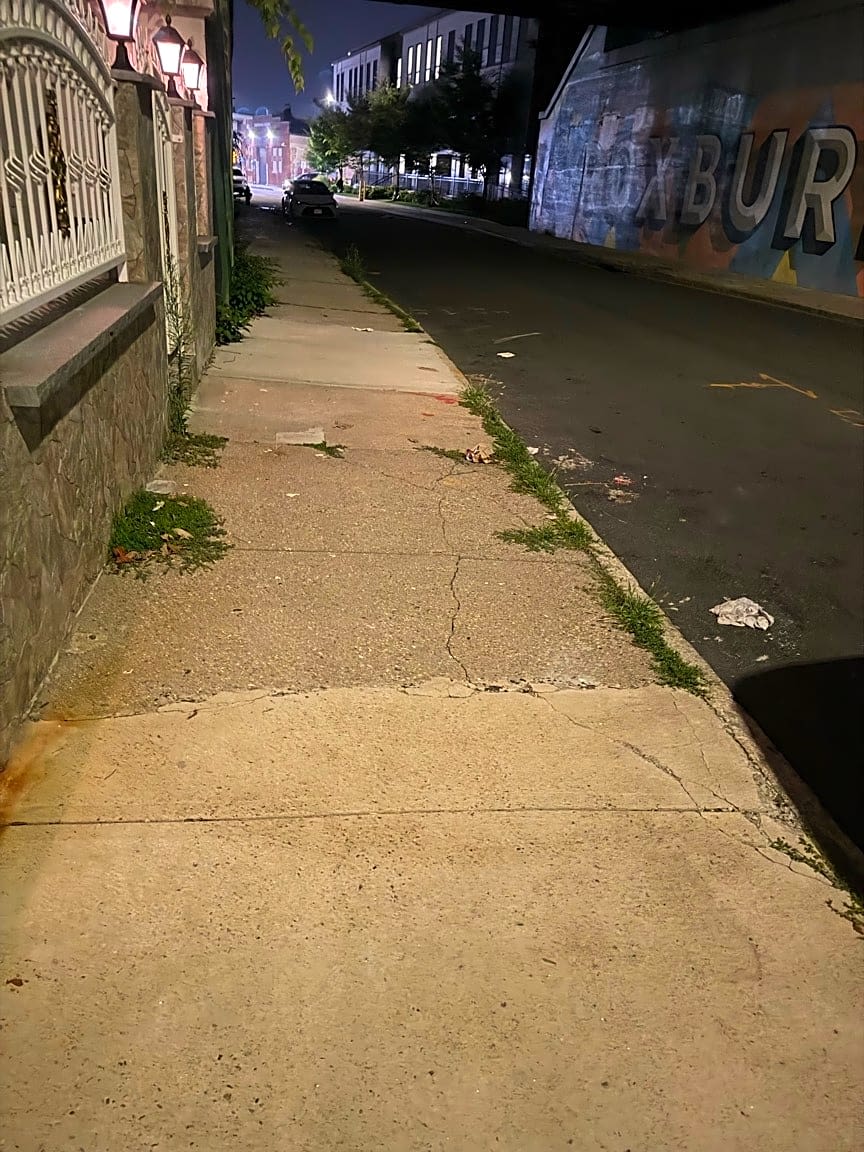 Image submitted with report