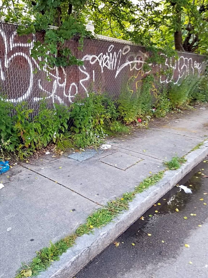 Image submitted with report