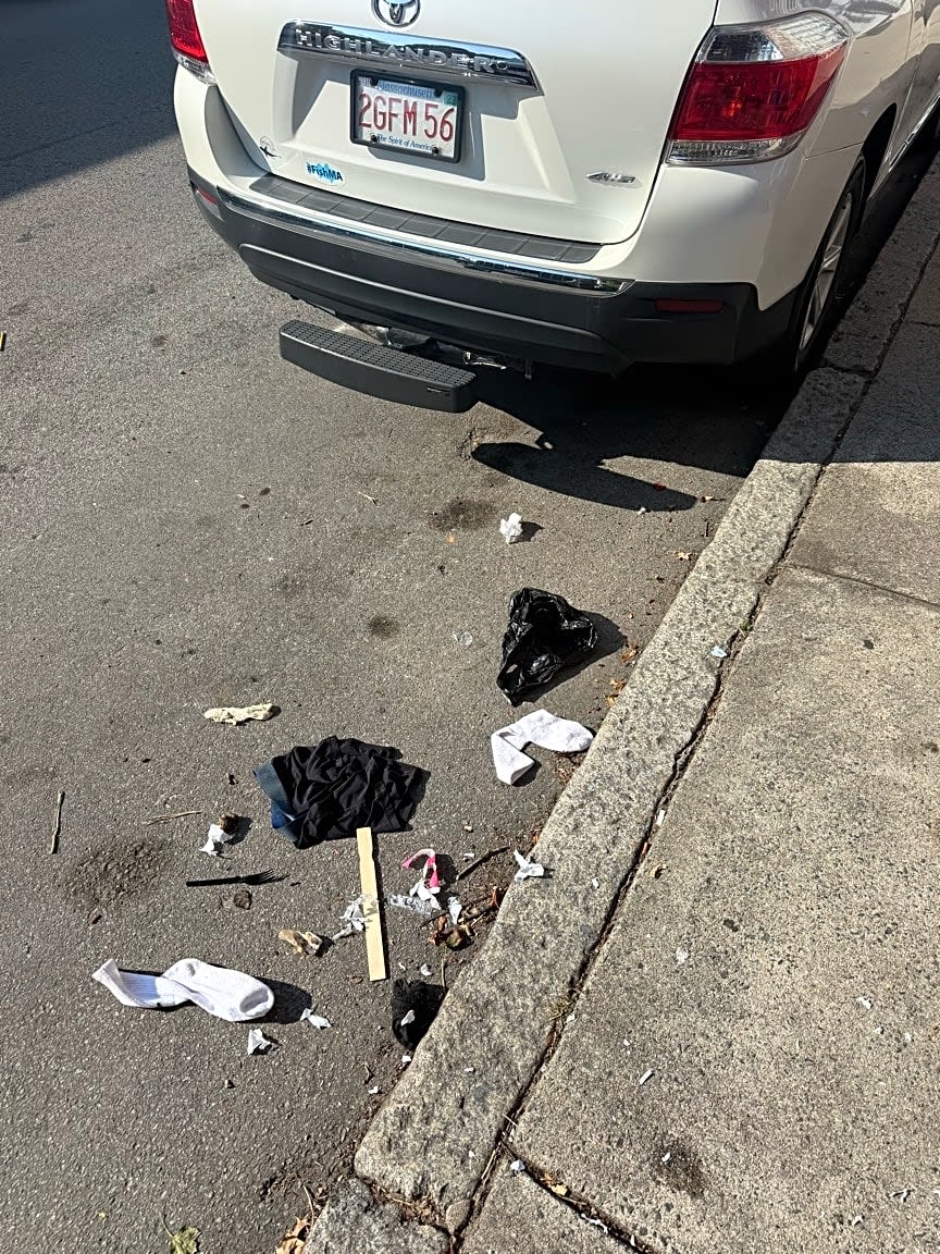 Image submitted with report