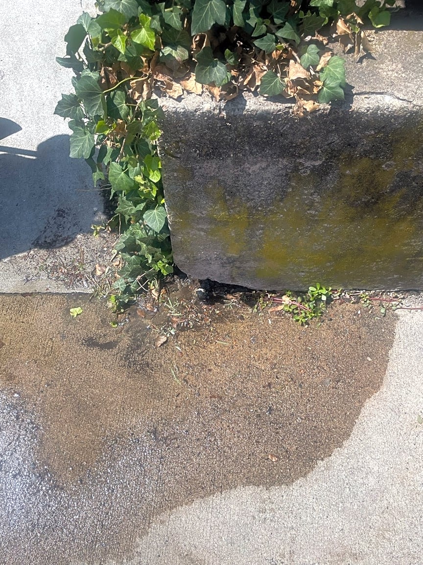 Image submitted with report
