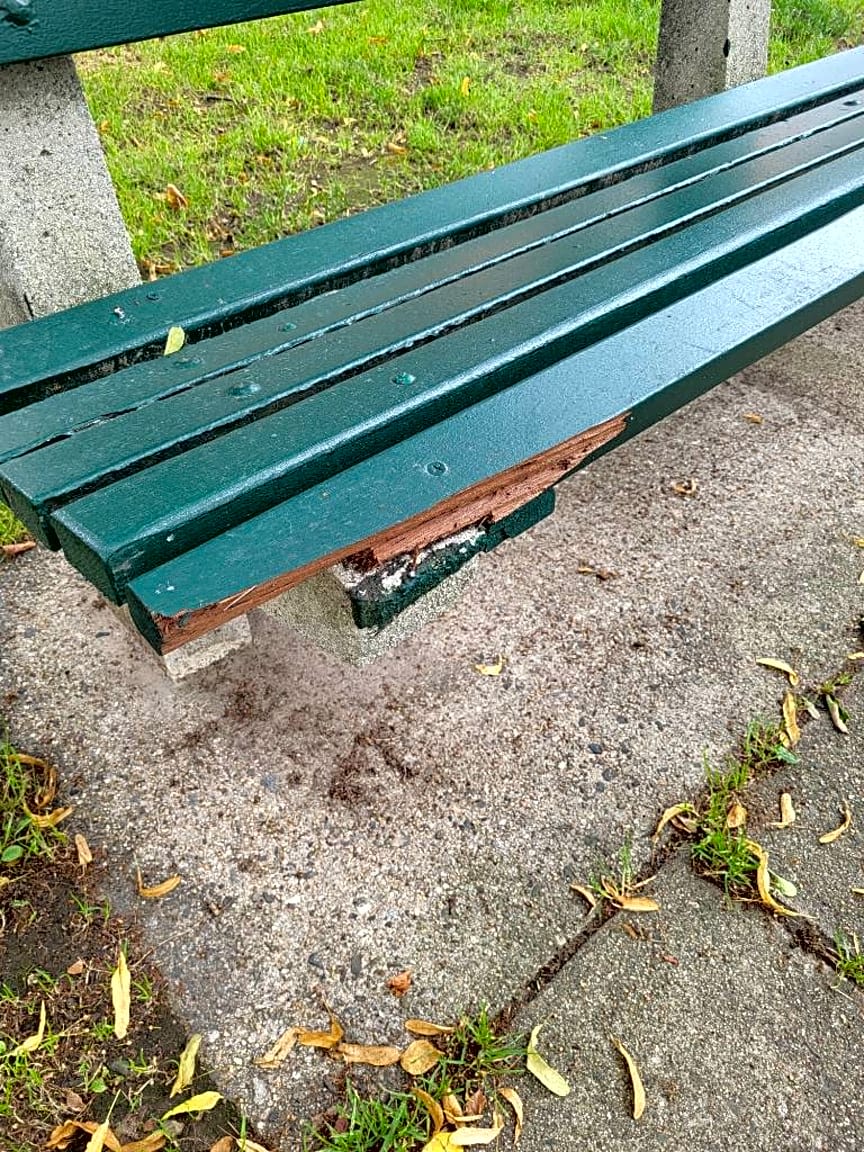 Image submitted with report