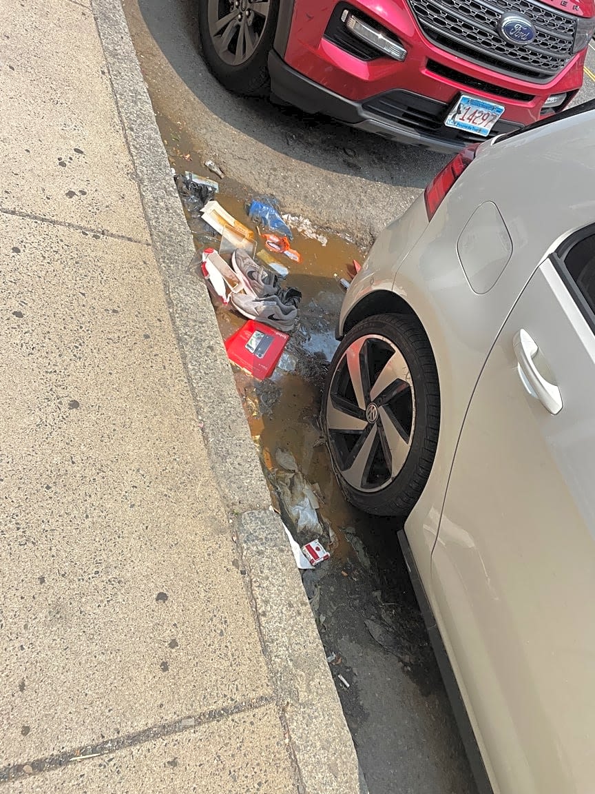 Image submitted with report