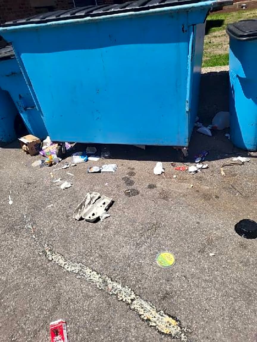 Image submitted with report