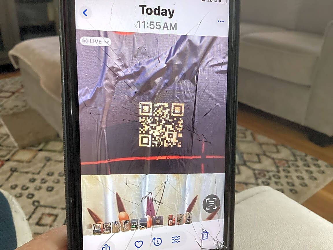 Image submitted with report