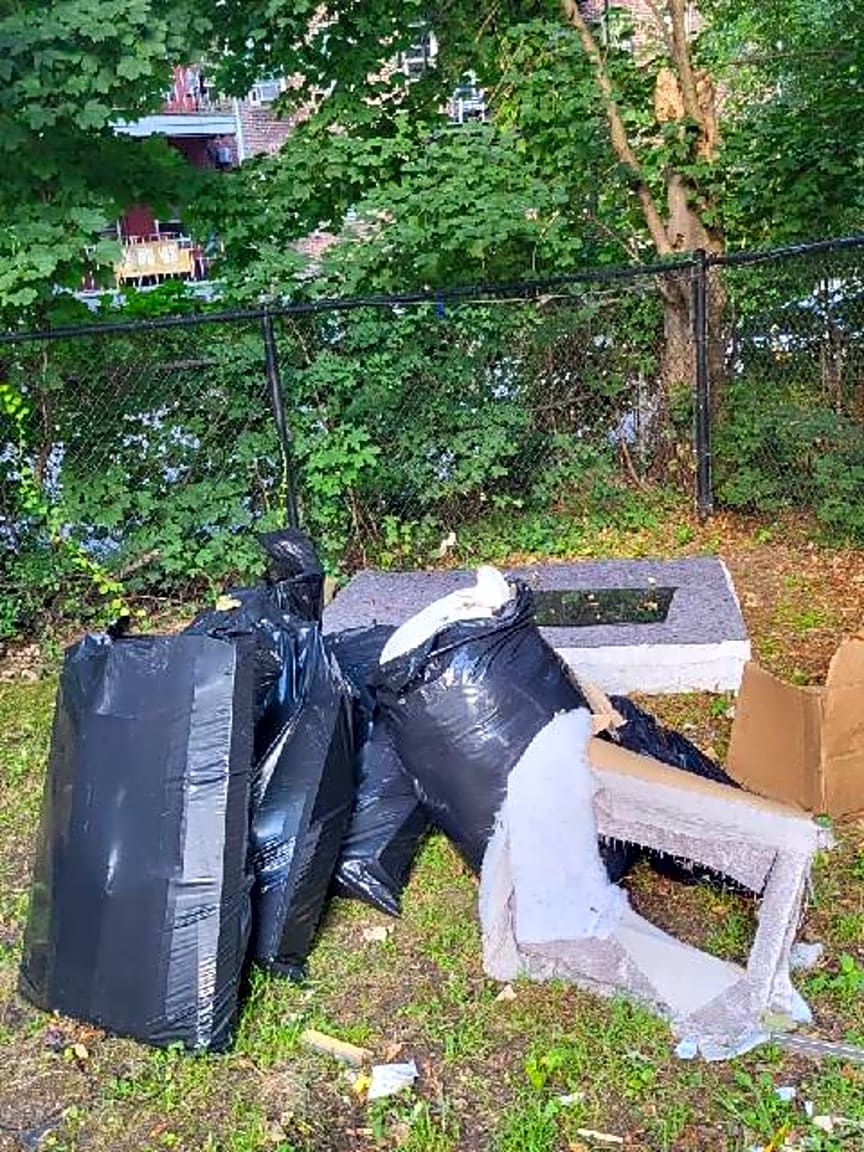 Image submitted with report