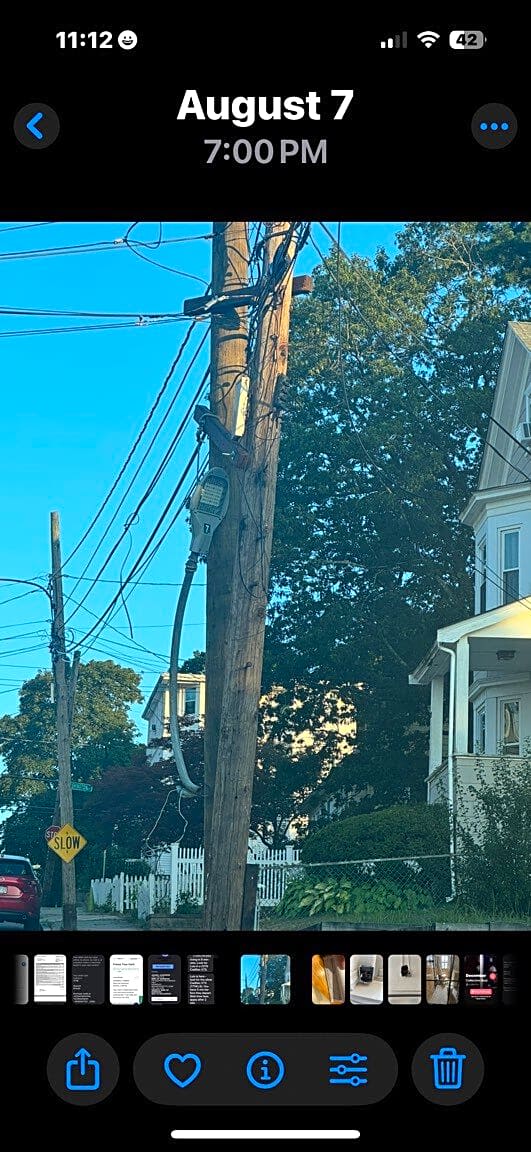 Image submitted with report