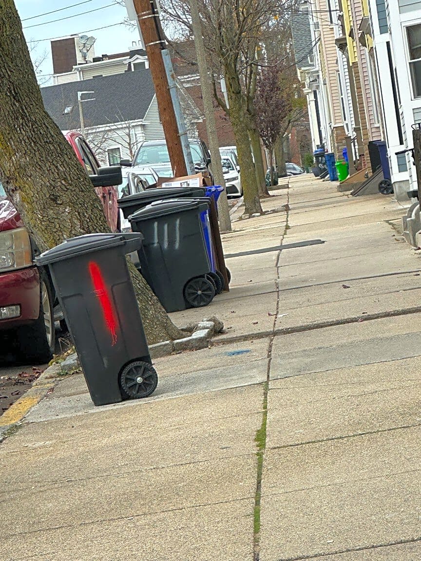 Image submitted with report