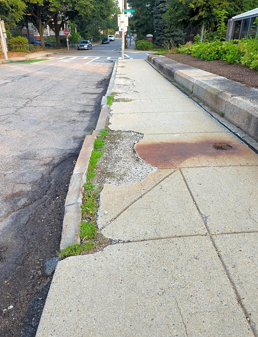 Image submitted with report