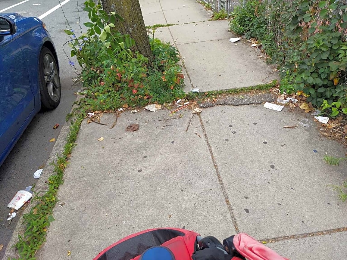Image submitted with report
