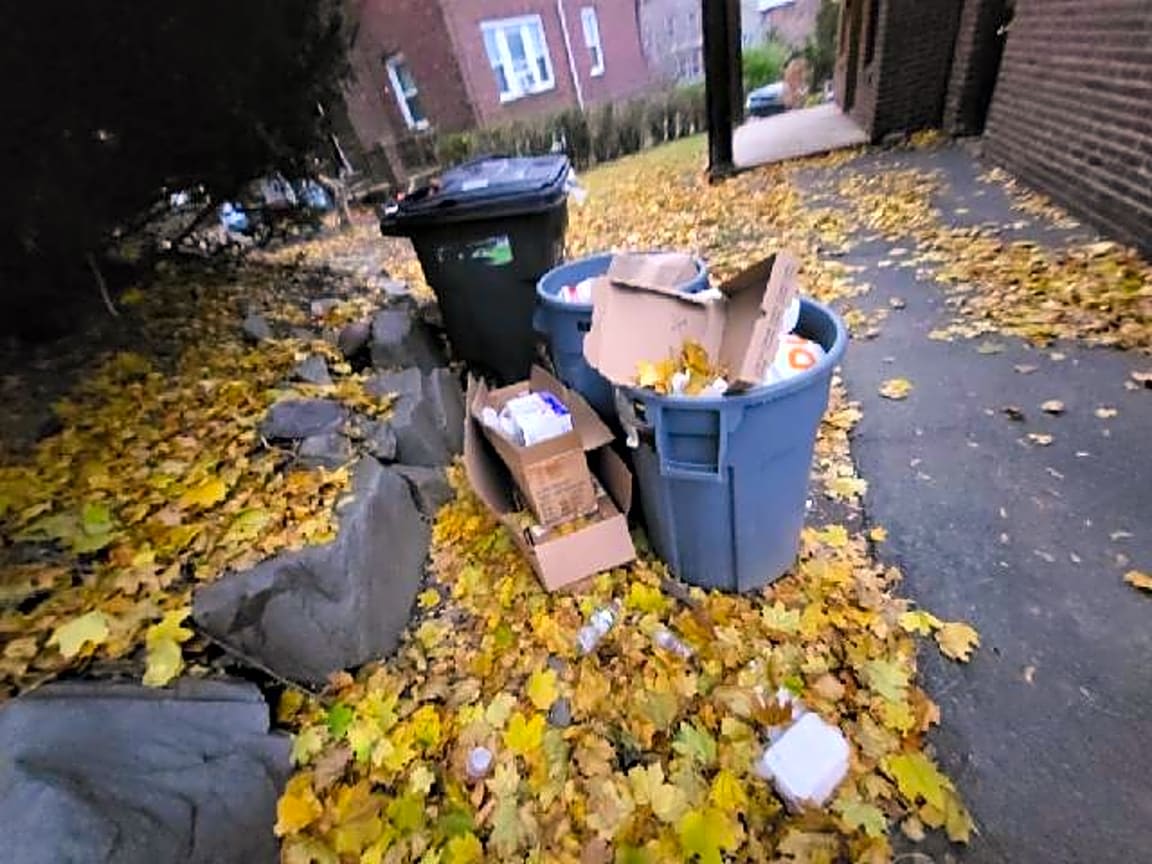 Image submitted with report