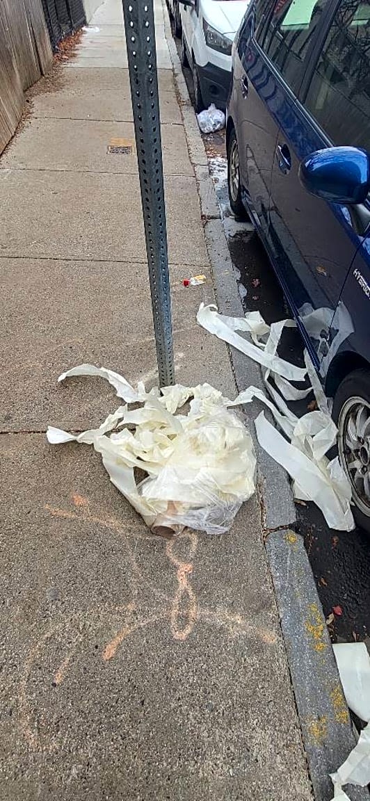 Image submitted with report