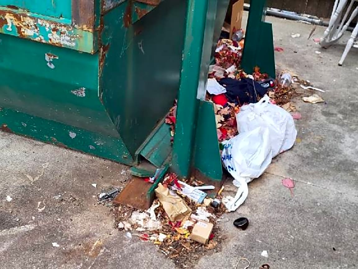 Image submitted with report