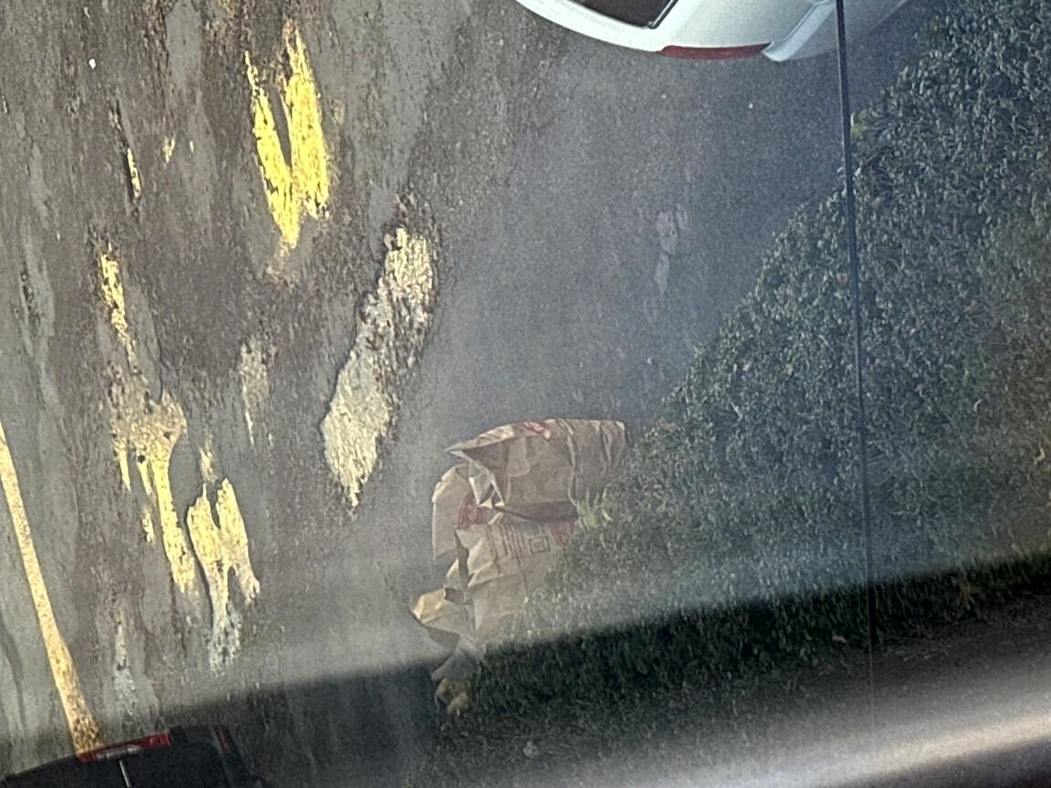 Image submitted with report