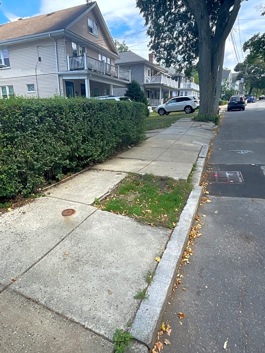 Image submitted with report