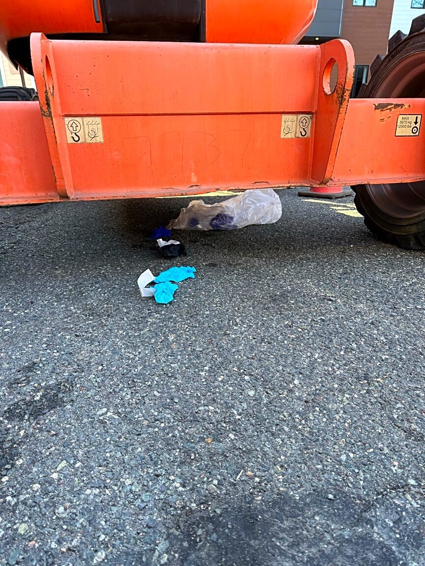 Image submitted with report