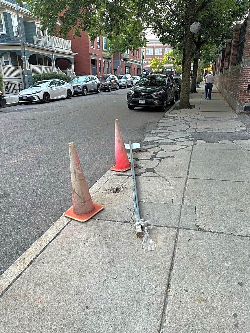 Image submitted with report