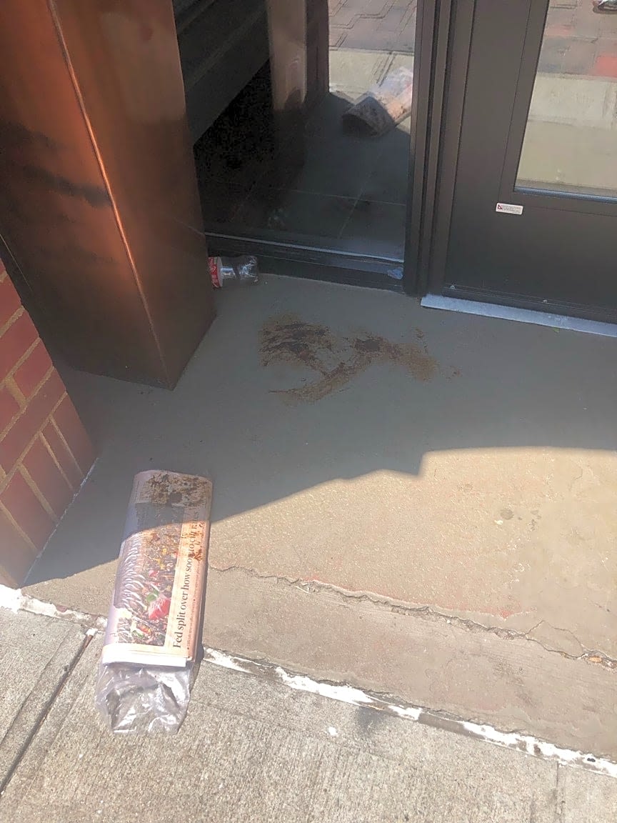 Image submitted with report