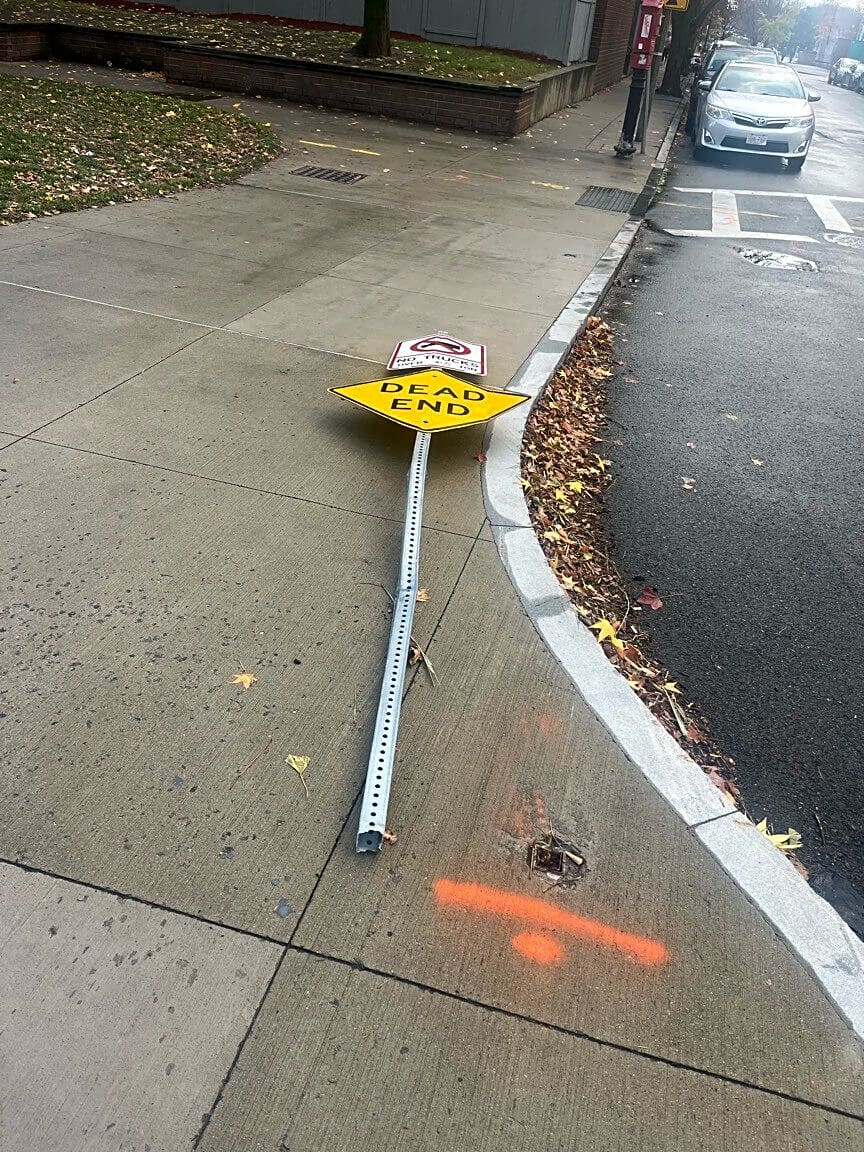 Image submitted with report