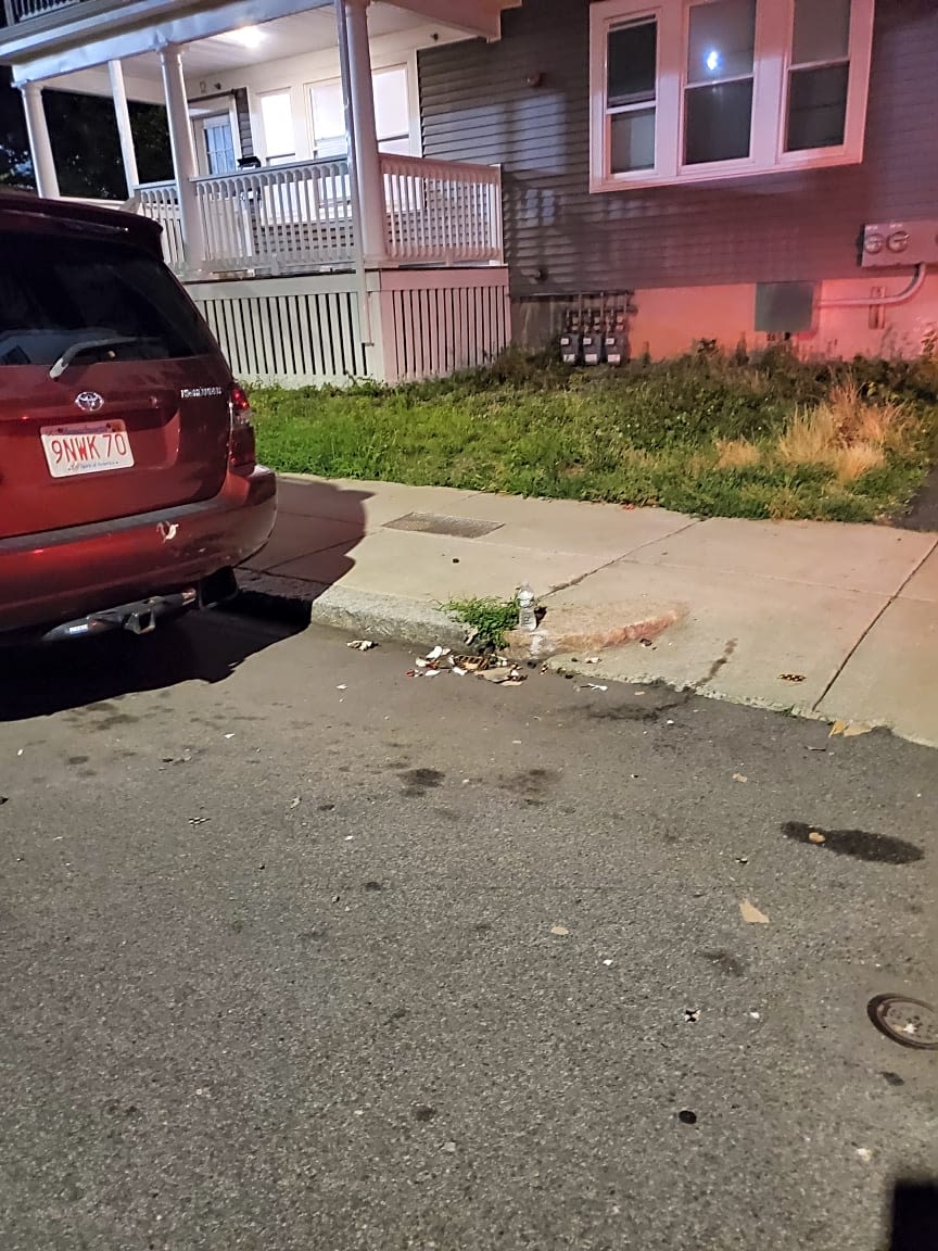 Image submitted with report