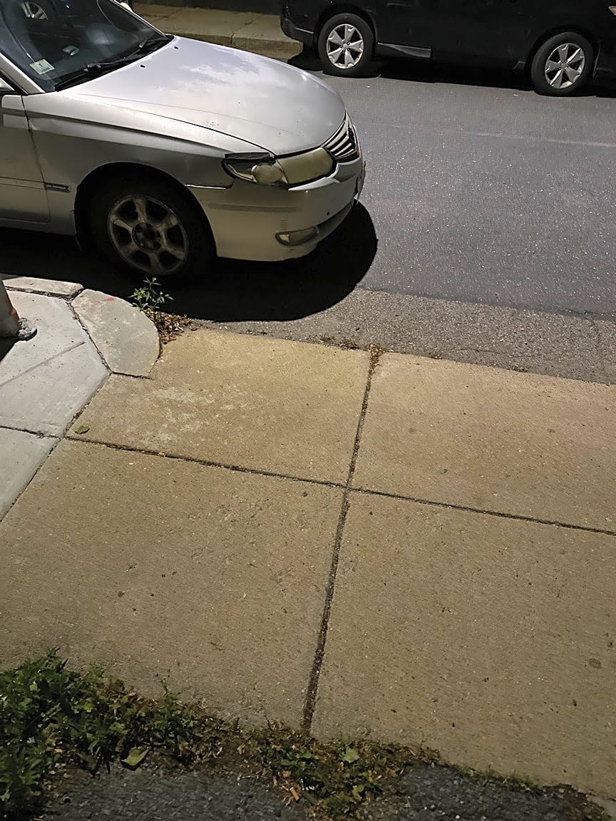 Image submitted with report