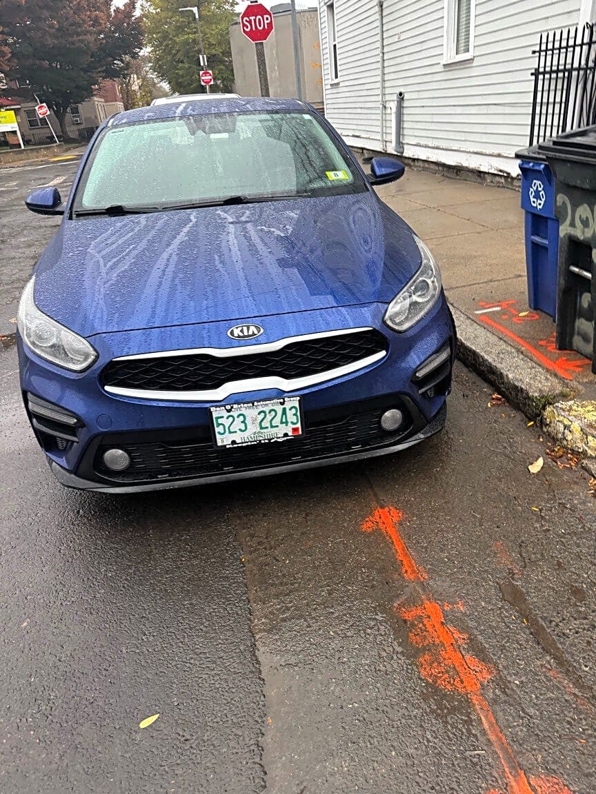 Image submitted with report