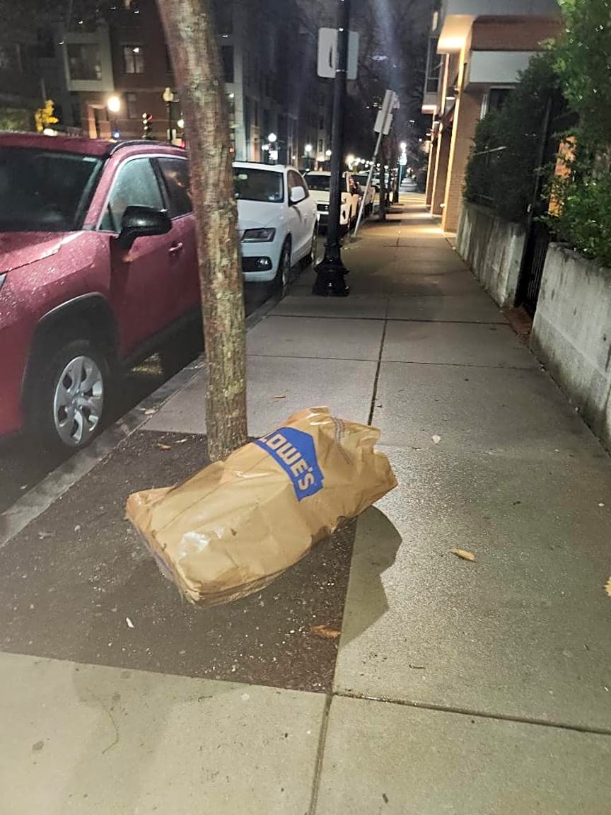 Image submitted with report