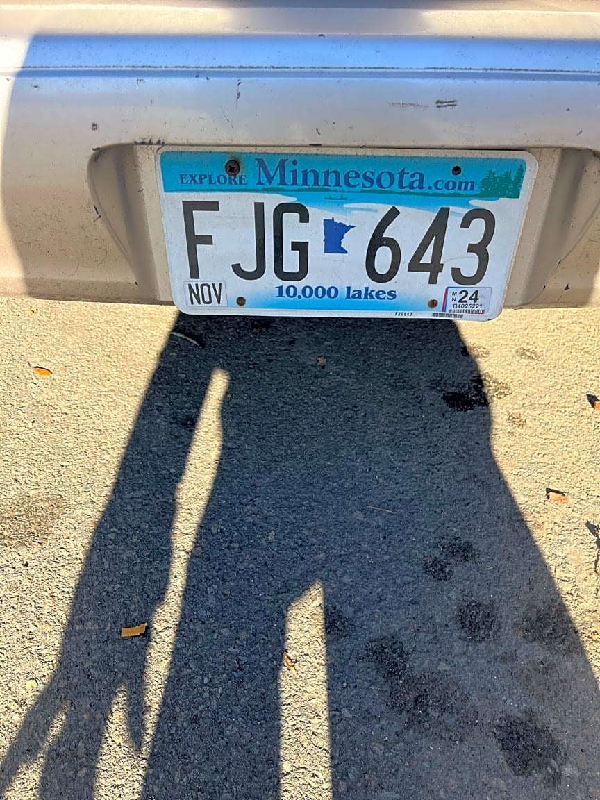 Image submitted with report